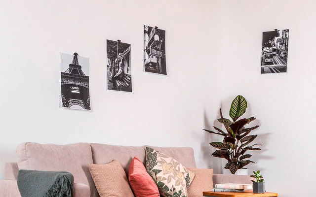 silwy® Flex Magnethaken inkl. Metall-Nano-Gel-Pads 5 cm 8-tlg. blau Silwy® Flex Magnethaken Inkl. Metall-Nano-Gel-Pads 5 Cm 8-tlg. Blau -Campingausrüstung 337223 2526526