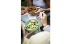 Koziol Club Geschirr-Set 16-tlg. Grün -Campingausrüstung 446693 3144593