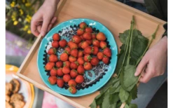 Rebel Outdoor Dessertteller 22 Cm Blau